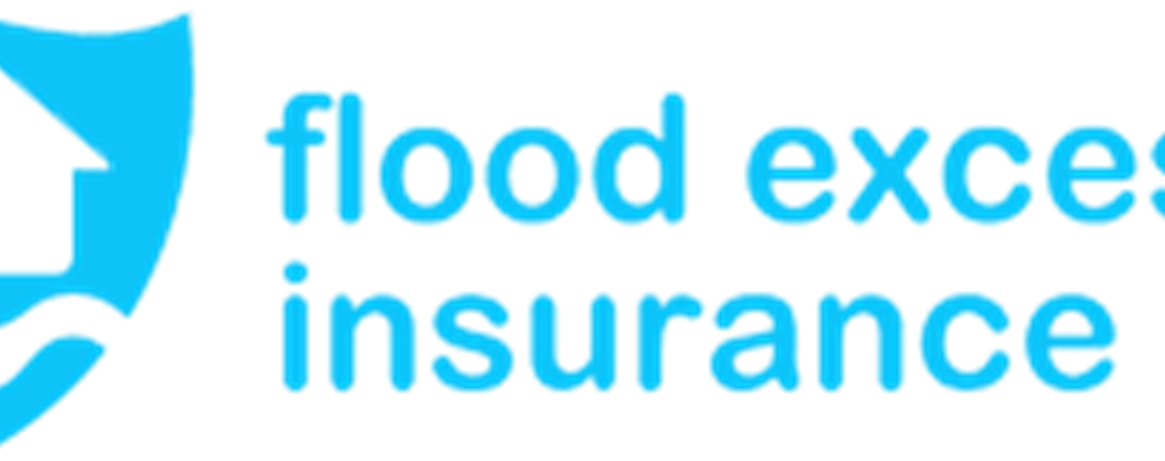 Flood Excess Insurance Company Logo